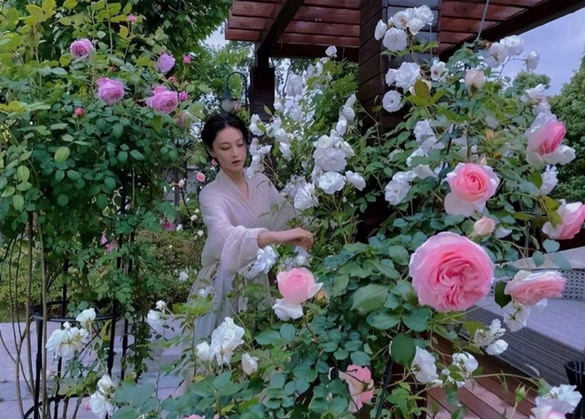 Chị đẹp xứ Trung nổi rần rần trên mạng xã hội nhờ tự tay vun trồng một vườn rau đẹp như truyện cổ tích - Ảnh 3.