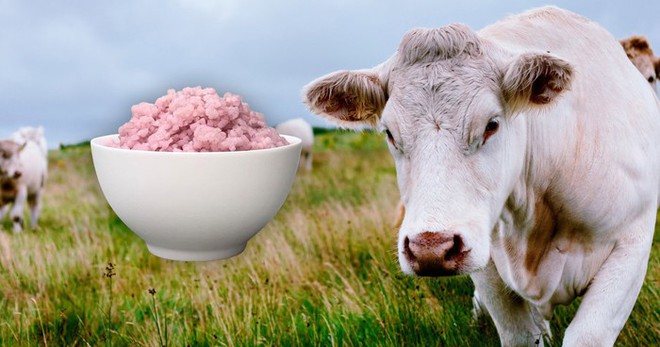Các nhà khoa học vừa tạo ra gạo lai thịt bò: Phở, bún bò Huế và cơm rang dưa bò trong tương lai sẽ không còn có thịt? - Ảnh 1.