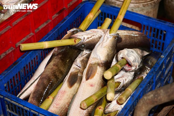 Quán vỉa hè thuê 40 người xuyên đêm nướng 4 tấn cá lóc bán ngày vía Thần Tài - Ảnh 3.