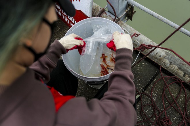 Người d&acirc;n H&agrave; Nội loay hoay t&igrave;m chỗ tiễn &ocirc;ng T&aacute;o trong sương m&ugrave; - Ảnh 15.