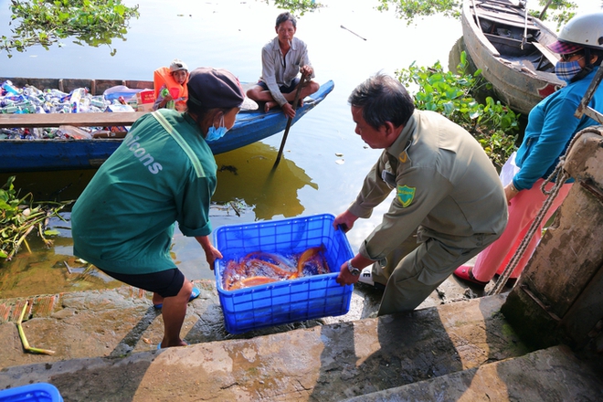 Tàu kiểm ngư, cảnh sát được huy động ngăn chặn chích điện vớt cá ngày ông Táo ở TPHCM - Ảnh 11.