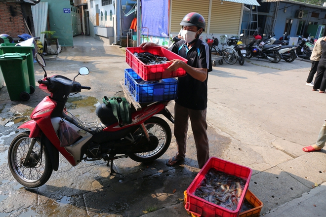 Tàu kiểm ngư, cảnh sát được huy động ngăn chặn chích điện vớt cá ngày ông Táo ở TPHCM - Ảnh 10.