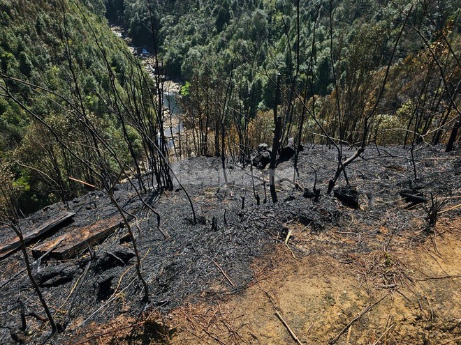 Trèo đèo, vượt suối vào hiện trường cháy rừng tại Vườn quốc gia Hoàng Liên - Ảnh 15.