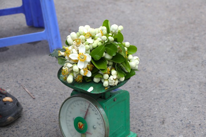 Hoa bưởi đầu mùa giá tới nửa triệu đồng/kg vẫn hút khách Hà Thành - Ảnh 6.