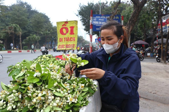 Hoa bưởi đầu mùa giá tới nửa triệu đồng/kg vẫn hút khách Hà Thành - Ảnh 5.
