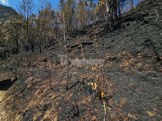 Trèo đèo, vượt suối vào hiện trường cháy rừng tại Vườn quốc gia Hoàng Liên - Ảnh 9.