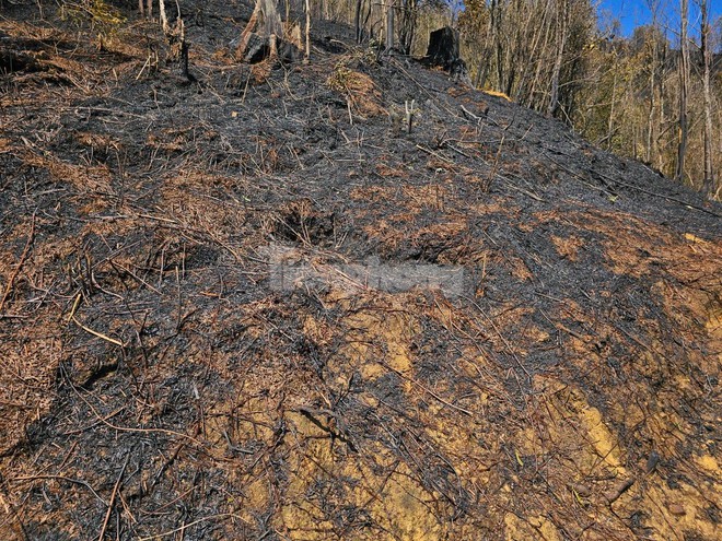 Trèo đèo, vượt suối vào hiện trường cháy rừng tại Vườn quốc gia Hoàng Liên - Ảnh 7.