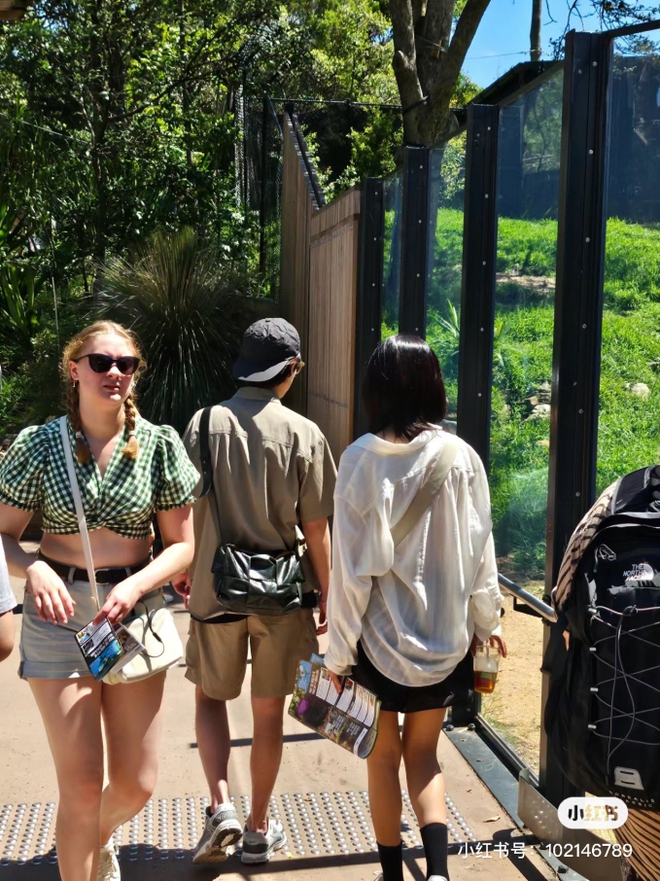 Bất ngờ chưa: Taylor Swift - Travis Kelce và Sooyoung - Jung Kyung Ho cùng hẹn hò ở Vườn thú Sydney, vùng đất tình yêu là đây sao? - Ảnh 8.