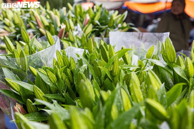 Người H&agrave; Nội đội mưa, dậy sớm đi sắm đồ c&uacute;ng rằm th&aacute;ng Gi&ecirc;ng - Ảnh 5.