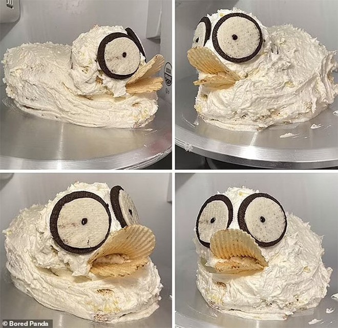 Những chiếc b&aacute;nh sinh nhật thảm họa khiến chủ nh&acirc;n kh&oacute;c th&eacute;t - Ảnh 5.
