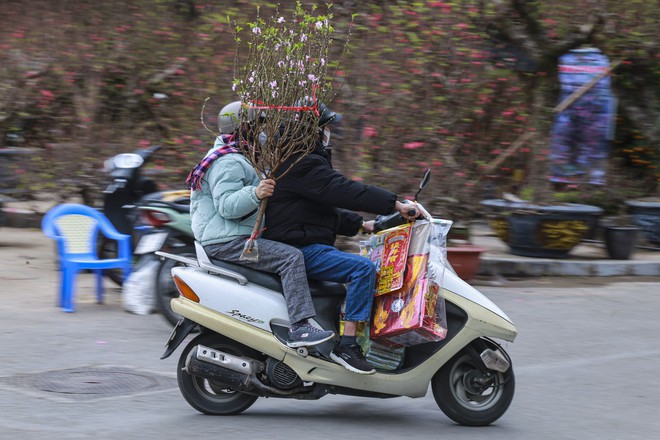 Chợ hoa Xuân Hà Nội nhộn nhịp, khách nườm nượp chốt đơn - Ảnh 17.