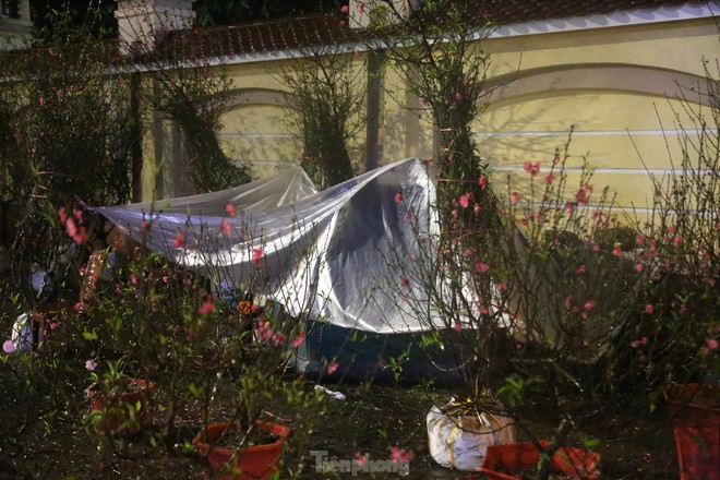 Tiểu thương b&aacute;n đ&agrave;o, quất co ro trong mưa r&eacute;t ng&oacute;ng kh&aacute;ch đ&ecirc;m 29 th&aacute;ng Chạp - Ảnh 10.