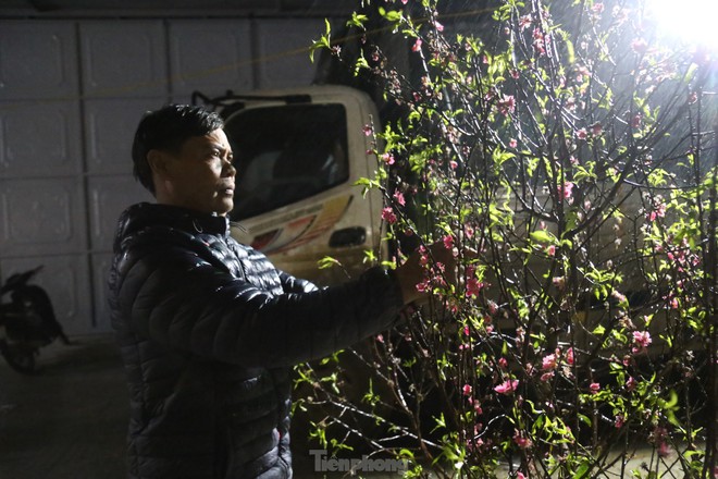 Tiểu thương b&aacute;n đ&agrave;o, quất co ro trong mưa r&eacute;t ng&oacute;ng kh&aacute;ch đ&ecirc;m 29 th&aacute;ng Chạp - Ảnh 6.