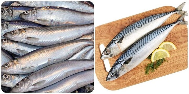 5 loại cá ngọt thịt, ít xương đi chợ mà thấy thì nên mua ngay - Ảnh 1.