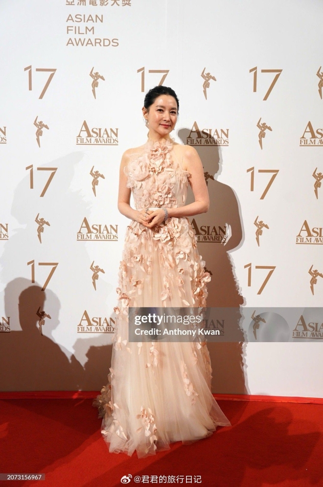 Thảm đỏ Giải thưởng Điện ảnh châu Á: Phạm Băng Băng chặt chém với đồ cắt xẻ táo bạo, Triệu Lệ Dĩnh đẹp diễm lệ lấn át Lee Young Ae - Ảnh 14.