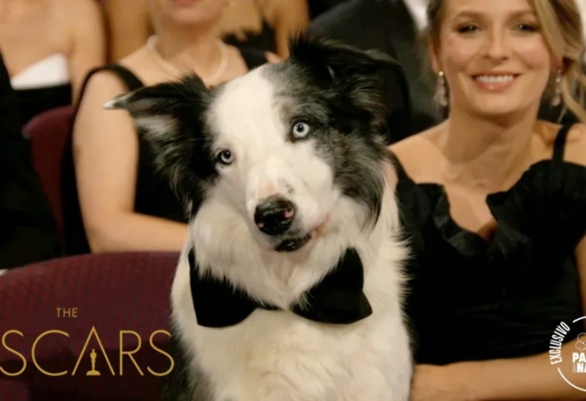 Diễn viên bị cấm đến Oscar 2024 bất ngờ xuất hiện, có khoảnh khắc giật spotlight dàn sao hạng A - Ảnh 1.