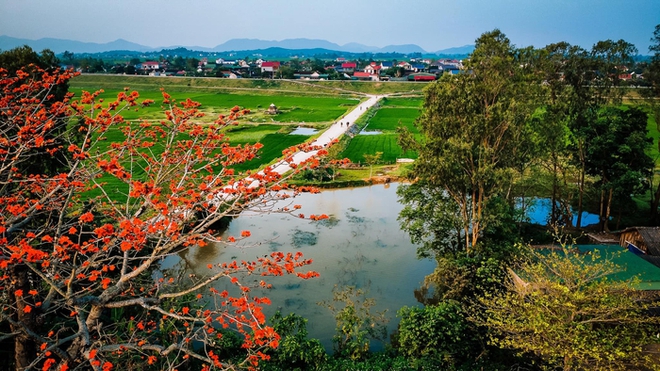 Tháng 3 hoa gạo nở đỏ một góc trời, đường làng trở thành điểm check in hút khách ở xứ Nghệ - Ảnh 9.