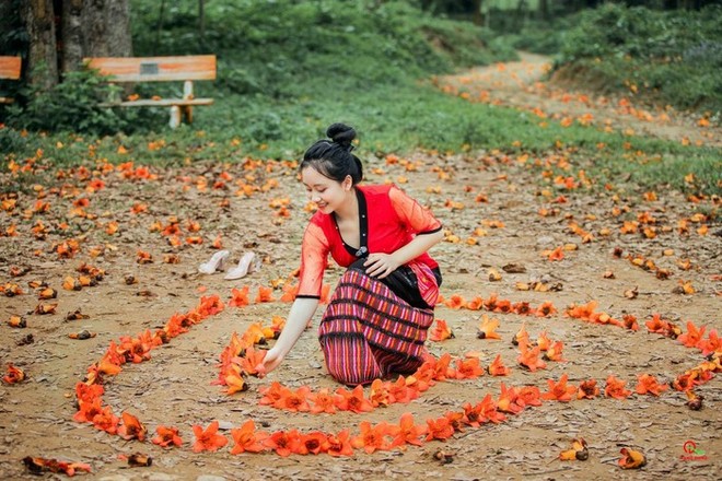 Tháng 3 hoa gạo nở đỏ một góc trời, đường làng trở thành điểm check in hút khách ở xứ Nghệ - Ảnh 8.