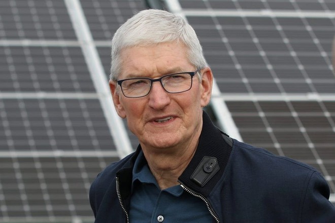 Một c&acirc;u vạ miệng của Tim Cook 5 năm trước vừa khiến Apple mất toi nửa tỷ USD - Ảnh 1.