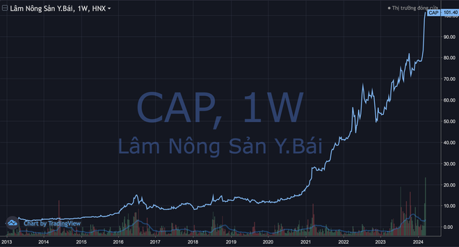 Bỏ 8,5 triệu vào chứng khoán 11 năm trước, mua cổ phiếu nào để bây giờ có 8,8 tỷ đồng? - Ảnh 1.