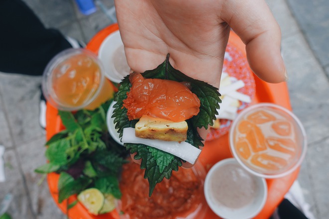 Sứa đỏ c&oacute; g&igrave; m&agrave; hot thế: Cứ tưởng chỉ d&agrave;nh cho d&acirc;n s&agrave;nh ăn, nay cả H&agrave; Nội rủ nhau đi ăn - Ảnh 3.