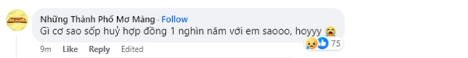 Ngọt gây sốc khi thông báo dừng biểu diễn từ hôm nay! - Ảnh 3.