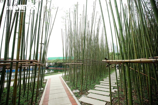 Du khách nước ngoài mê mẩn vườn trúc đẹp như trong phim ở Hà Nội - Ảnh 13.