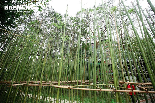 Du khách nước ngoài mê mẩn vườn trúc đẹp như trong phim ở Hà Nội - Ảnh 12.