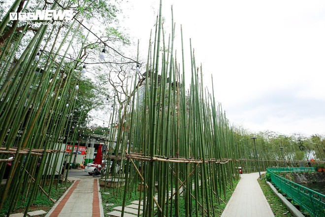 Du khách nước ngoài mê mẩn vườn trúc đẹp như trong phim ở Hà Nội - Ảnh 11.