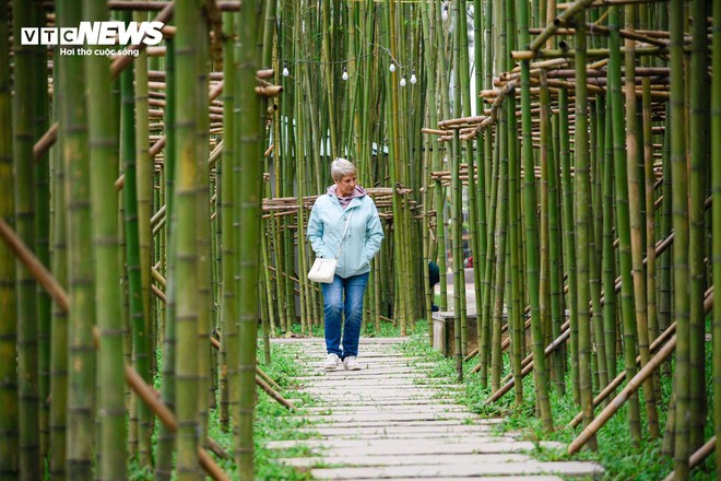 Du khách nước ngoài mê mẩn vườn trúc đẹp như trong phim ở Hà Nội - Ảnh 8.