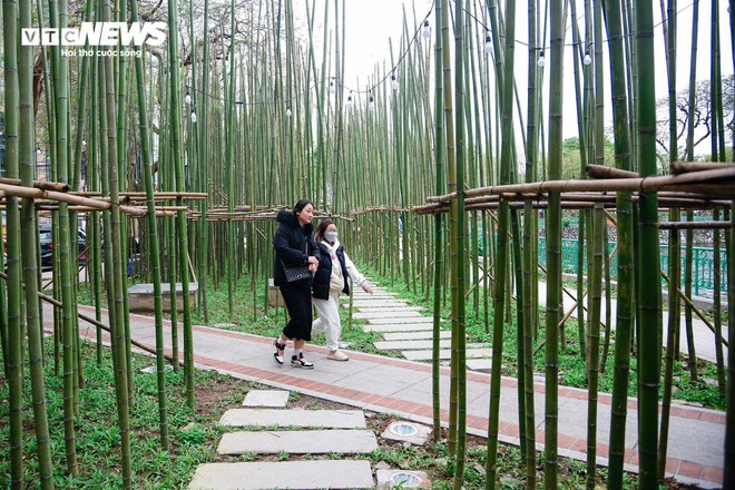 Du khách nước ngoài mê mẩn vườn trúc đẹp như trong phim ở Hà Nội - Ảnh 7.