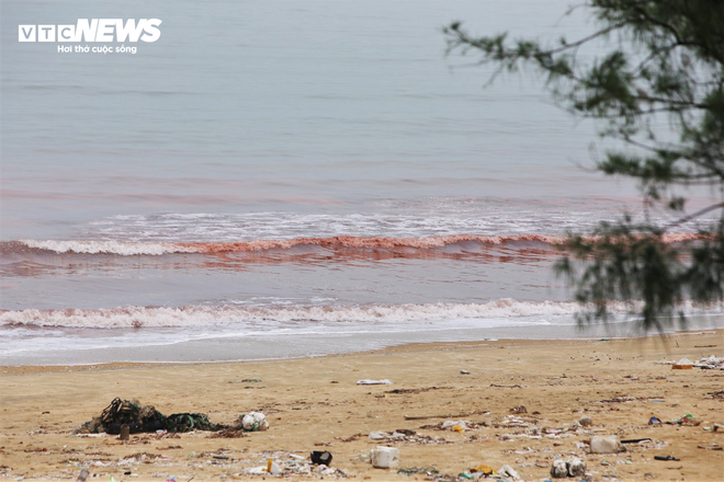 Nước biển ở Hà Tĩnh có màu đỏ như máu - Ảnh 11.