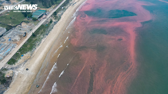 Nước biển ở Hà Tĩnh có màu đỏ như máu - Ảnh 10.