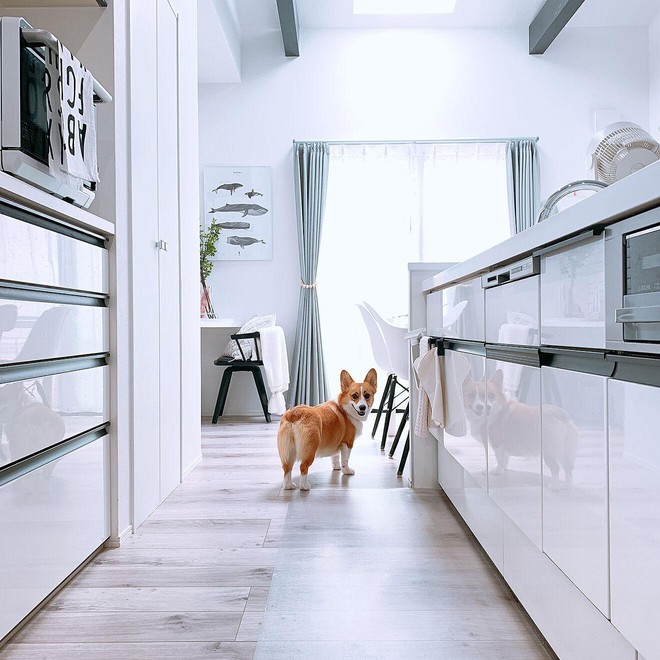 C&aacute;ch c&aacute;c b&agrave; nội trợ Nhật biến căn bếp kh&ocirc;ng kh&aacute;c g&igrave; cửa h&agrave;ng tạp h&oacute;a, đẹp đến bất ngờ - Ảnh 12.