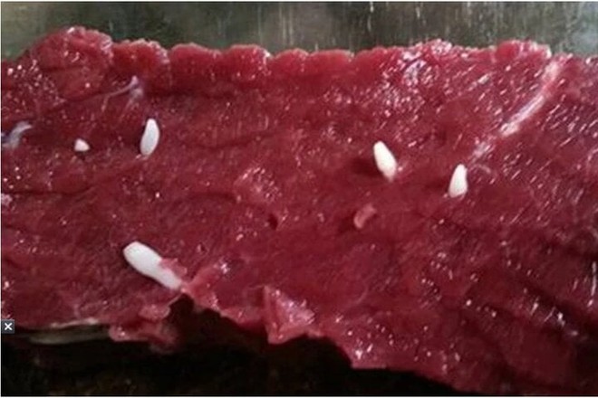 Cách phân biệt thịt bò sạch và thịt bò nhiễm sán - Ảnh 2.