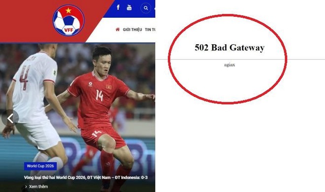 Website VFF bị sập ngay sau trận Việt Nam thua Indonesia - Ảnh 1.