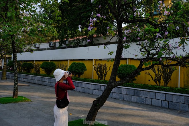 Thích thú check-in với hoa ban trên cung đường bình yên nhất Hà Nội - Ảnh 7.