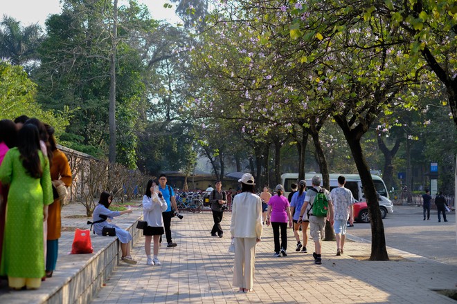 Thích thú check-in với hoa ban trên cung đường bình yên nhất Hà Nội - Ảnh 3.
