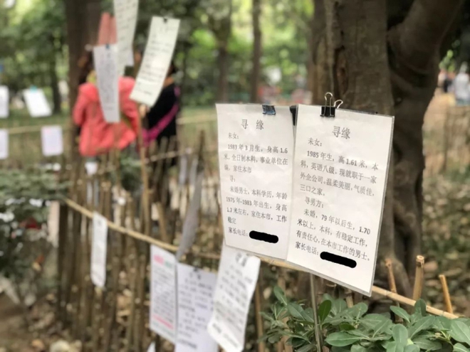 Nghề mai mối dạo trong công viên ở Thượng Hải (Trung Quốc): Mua dịch vụ hơn 300.000/tháng thì có thể tìm được bạn đời lý tưởng? - Ảnh 4.