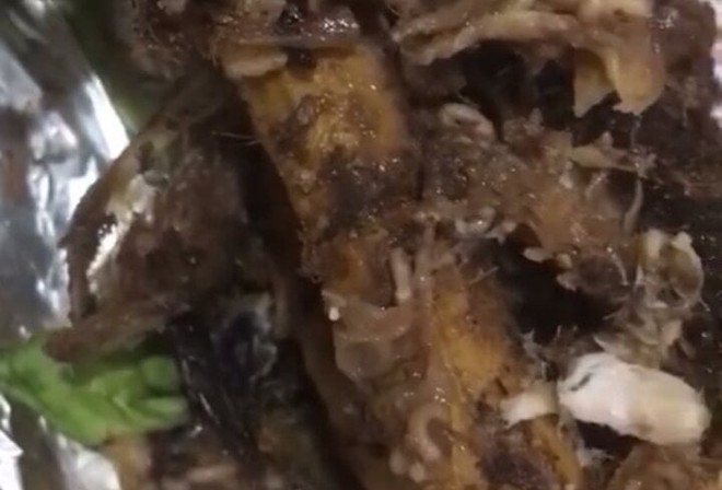 D&ograve;i b&ograve; l&uacute;c nh&uacute;c trong c&aacute; l&oacute;c nướng ở Bu&ocirc;n Ma Thuột - Ảnh 1.