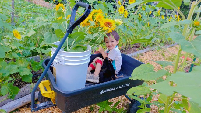 Vợ Việt lấy chồng Mỹ thuộc tộc người bí ẩn: Ly khai thế giới hiện đại, không dùng điện, đi bằng xe ngựa - Ảnh 25.