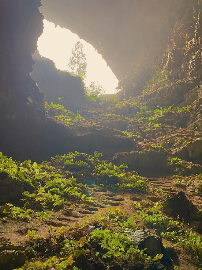 Phát hiện hang động hoang sơ với những khối núi đá vôi hàng trăm triệu tuổi, cách Hà Nội chỉ hơn 200km - Ảnh 8.