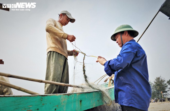 Săn vàng trắng trên biển, ngư dân Hà Tĩnh kiếm tiền triệu mỗi ngày - Ảnh 5.