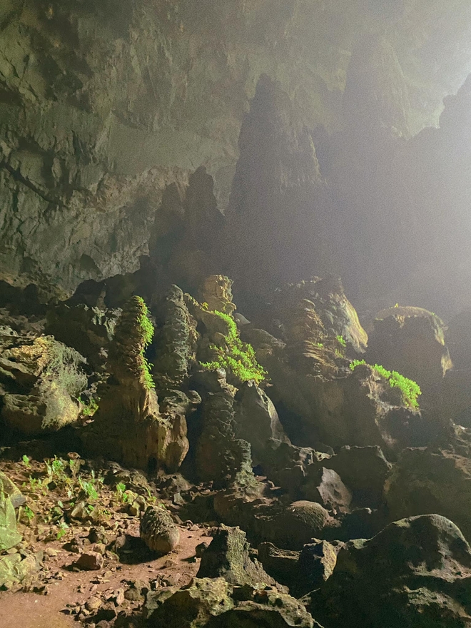 Phát hiện hang động hoang sơ với những khối núi đá vôi hàng trăm triệu tuổi, cách Hà Nội chỉ hơn 200km - Ảnh 8.