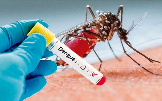 Đồng Nai ghi nhận ca tử vong do sốt xuất huyết đầu tiên trong năm 2024 - Ảnh 1.