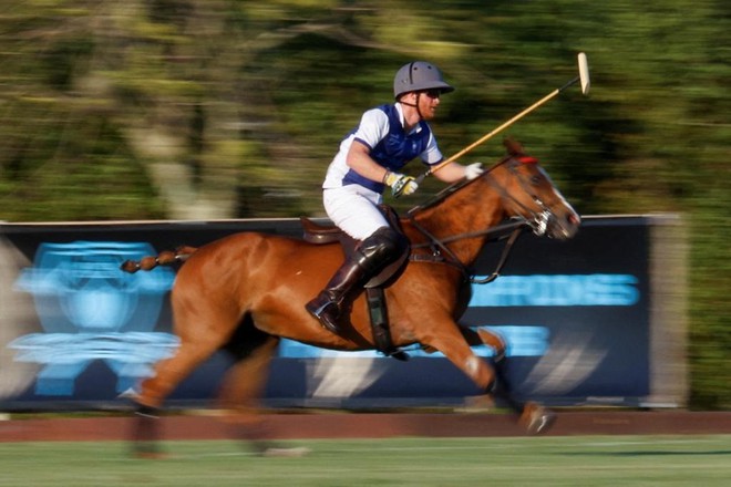 Bí mật đằng sau vẻ đẹp của polo - Ảnh 2.