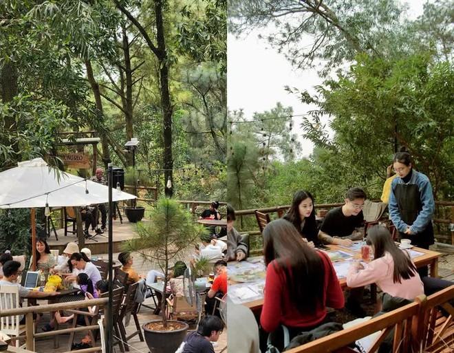 Quán cafe view rừng thông được ví như Đà Lạt thu nhỏ, ngay sát Hà Nội, chị em tha hồ sống ảo trong đợt nghỉ lễ này - Ảnh 19.