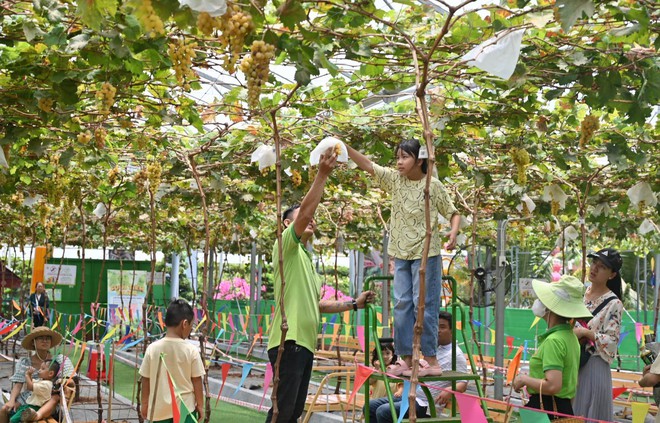 Giỗ tổ Hùng Vương, du khách chen chân đến Suối Tiên - Ảnh 14.