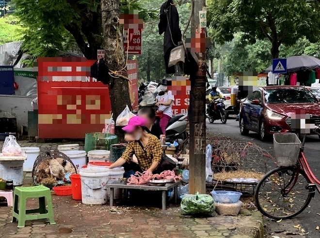 Nguy cơ ngộ độc thực phẩm mùa nắng nóng: Rùng mình với cảnh bày bán thực phẩm mất vệ sinh - Ảnh 5.