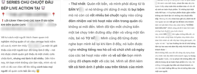 Quán cà phê chữa lành nổi tiếng nhưng lành ít dữ nhiều ở TPHCM: Chuột chạy tung tăng trong bếp, đồ ăn có dòi vẫn dùng... cho tiết kiệm? - Ảnh 2.